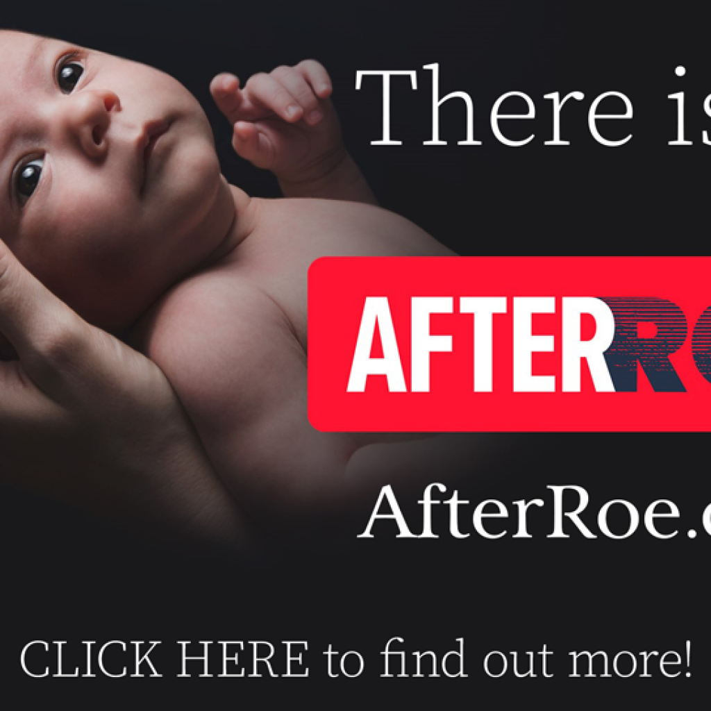 There is life after Roe image